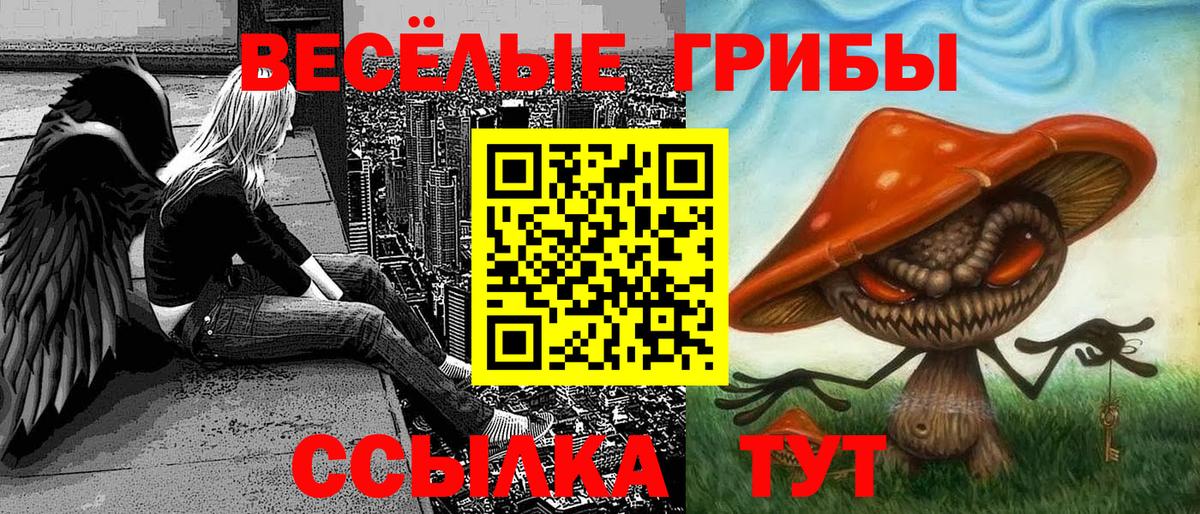 Псилоцибиновые грибы Magic Shrooms Барнаул