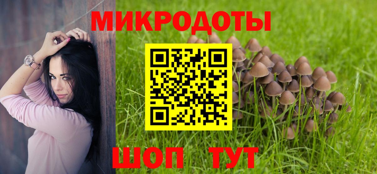 Псилоцибиновые грибы Cubensis  Вход с VPN  Барнаул 